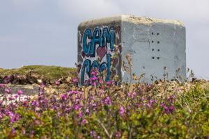 Blockhaus de Plogoff (10)